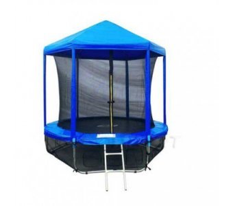 Батут Sport Elite 10FT с защитной сеткой (внутрь) и крышей GB20202-10FT